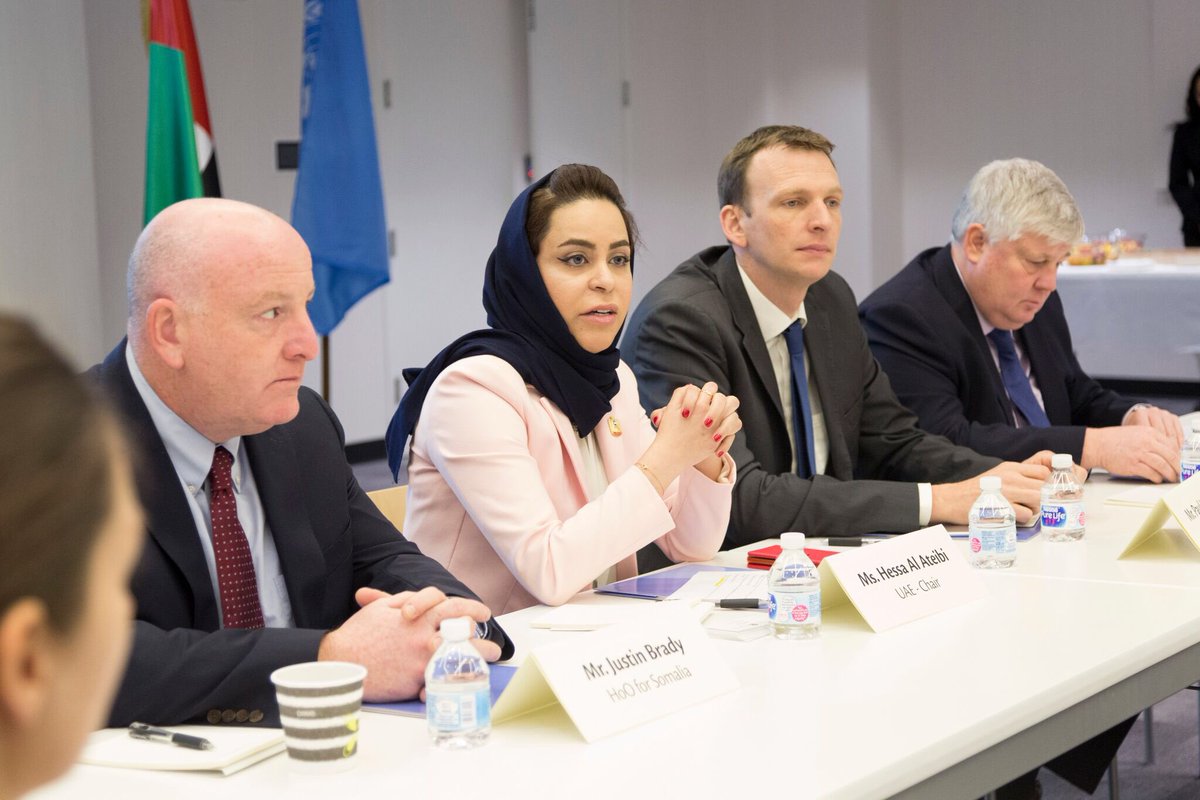 uae steers discussion about humanitarian crisis in horn of africa with un partners