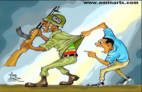 IGAD is an entity used by the Ethiopian regime to keep destroying Somalia