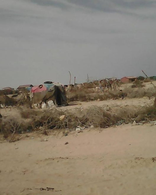 Berbera