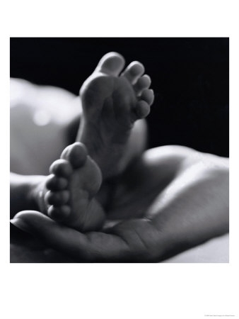 512133~Baby-s-Feet-in-the-Palm-of-the-Pa