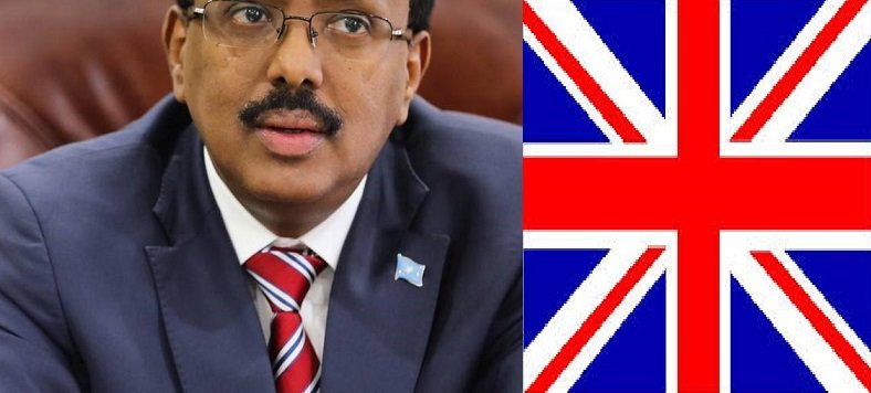 FARMAAJO.jpeg