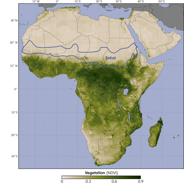 africa_vegetation.jpg