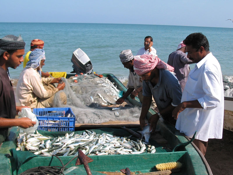 barka.freshfish.jpg