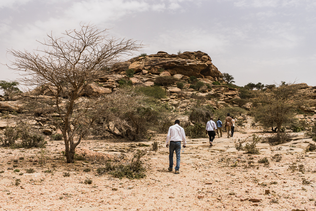 Somaliland desert