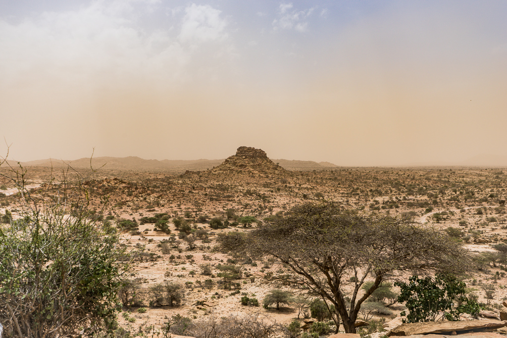 Somaliland desert