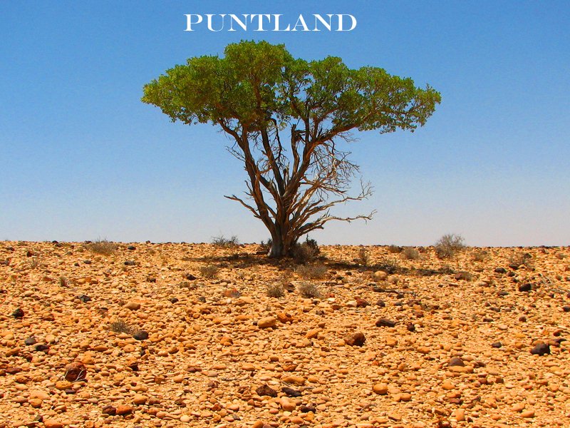 puntland.jpg