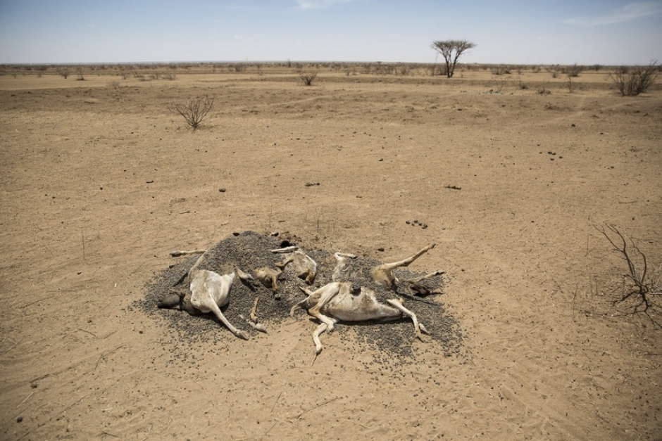 Somaliland20drought.jpg