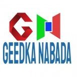 Geedka Nabada